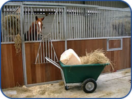 Animal Arks
