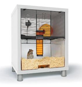 Animal Arks